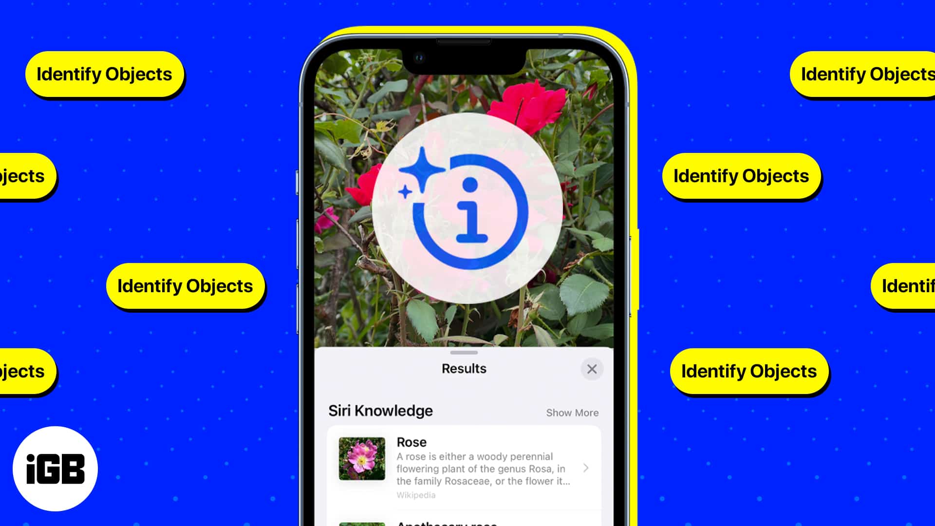 How to use Visual Look Up on your iPhone and iPad (2024) iGeeksBlog