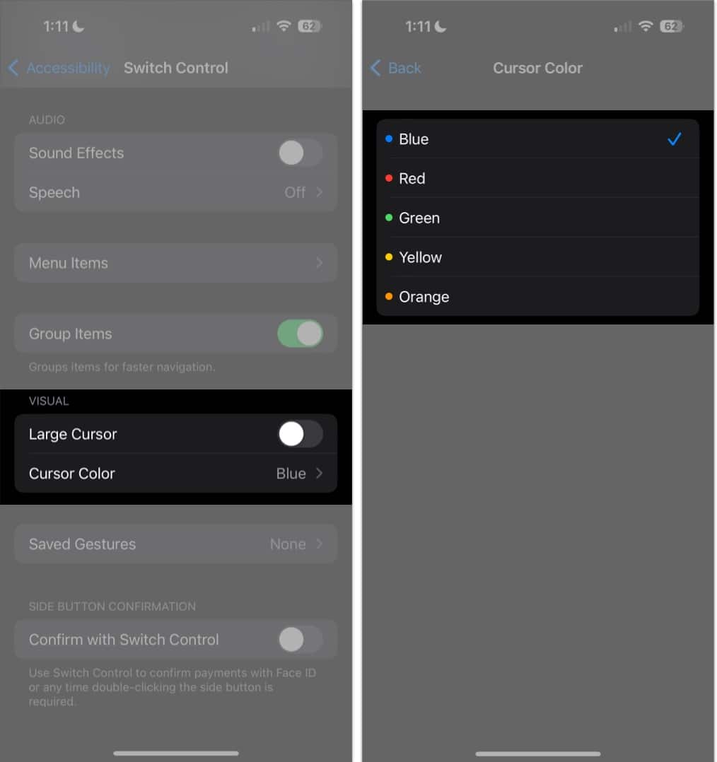 How to use Switch Control on iPhone and iPad in iOS 17 iGeeksBlog