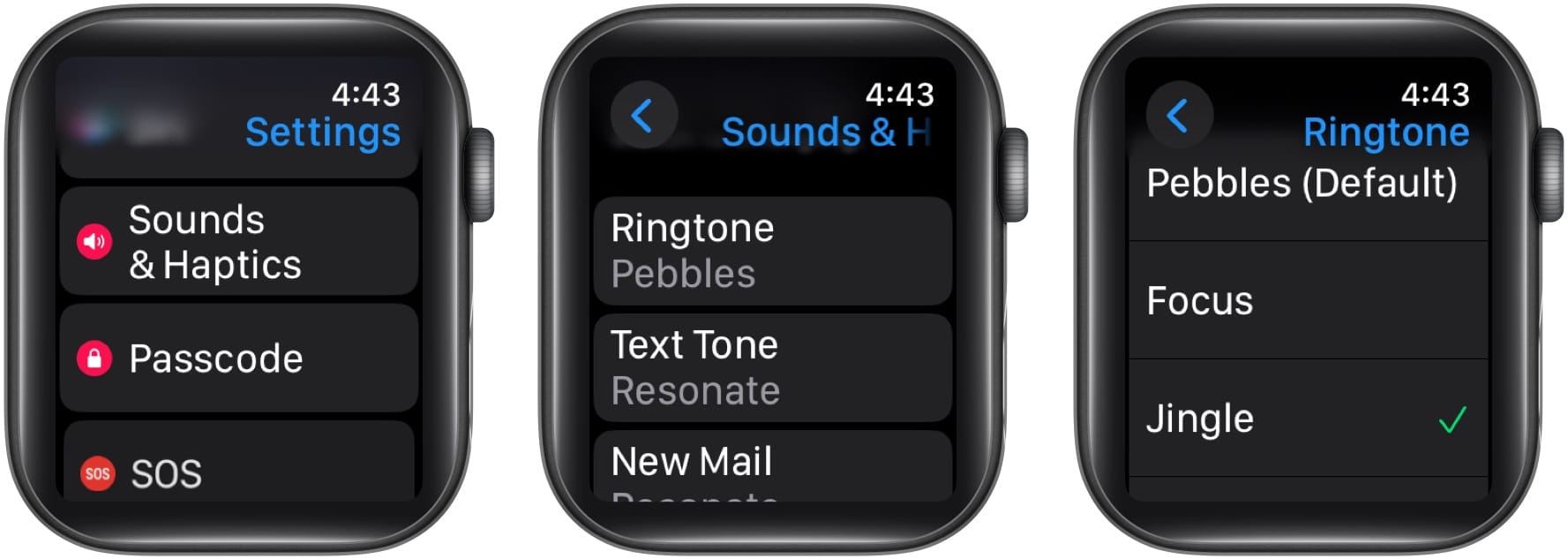 watchOS 11 How to change Apple Watch ringtone