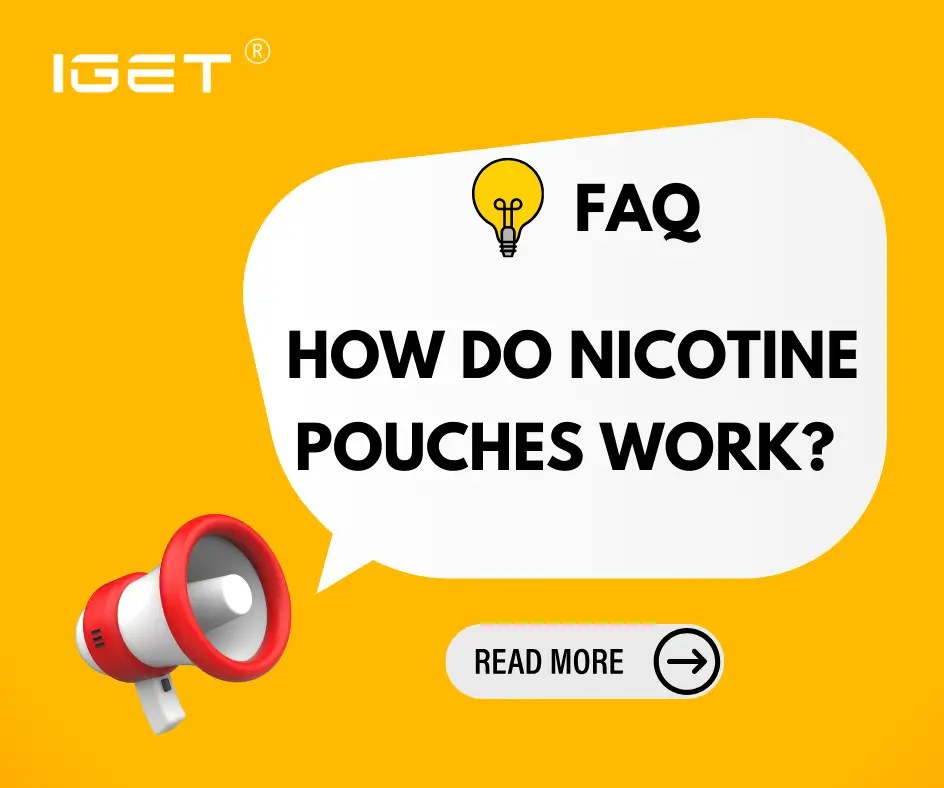 How Do Nicotine Pouches Work? IGET Vape Shop