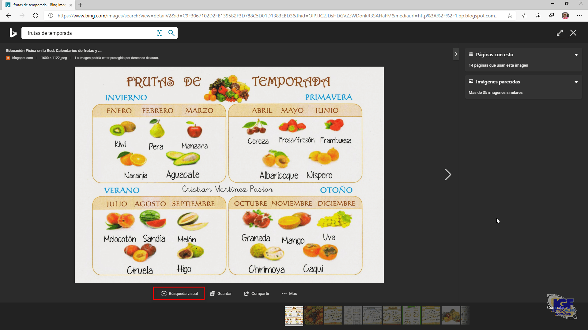 Búsqueda visual con Bing