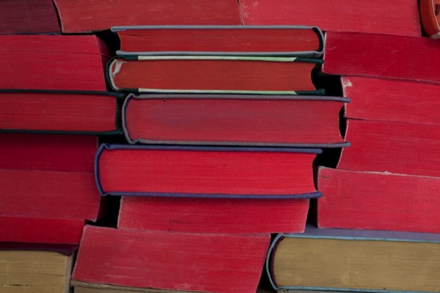 The Wall of Books IGNANT