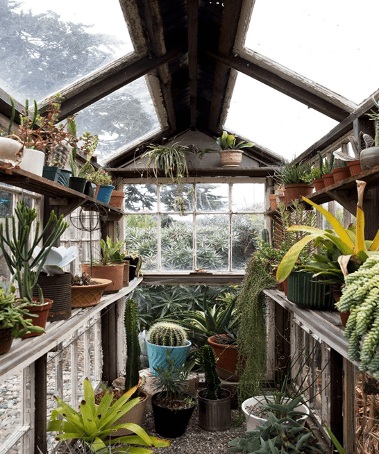 11 Best Greenhouse Interior Layout Ideas & Designs Igra World