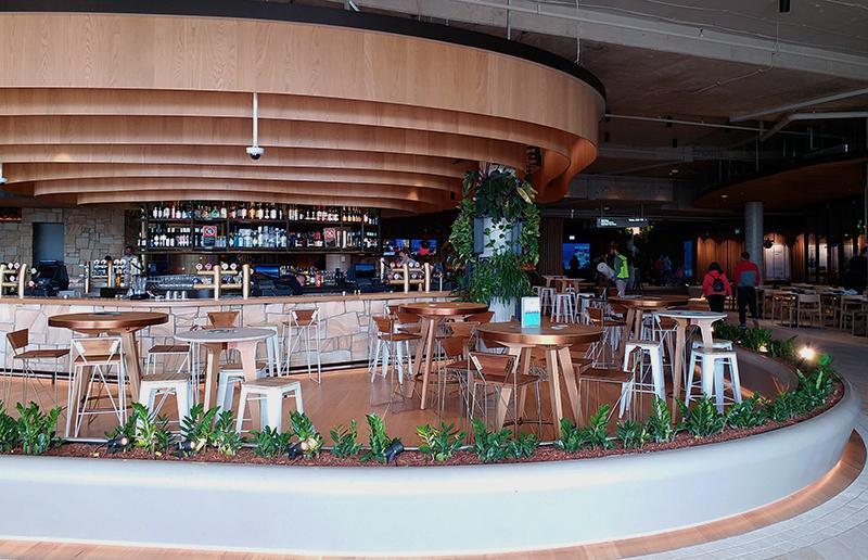 Harbord Diggers Integrated Group Services