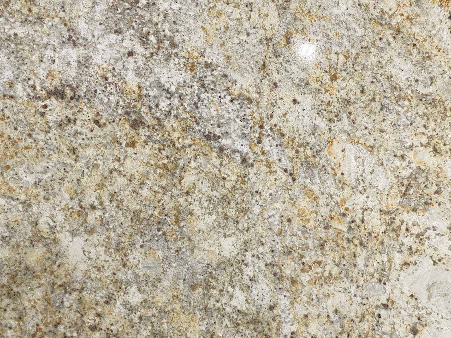 Colonial Cream Granite Countertops, Cost, Reviews