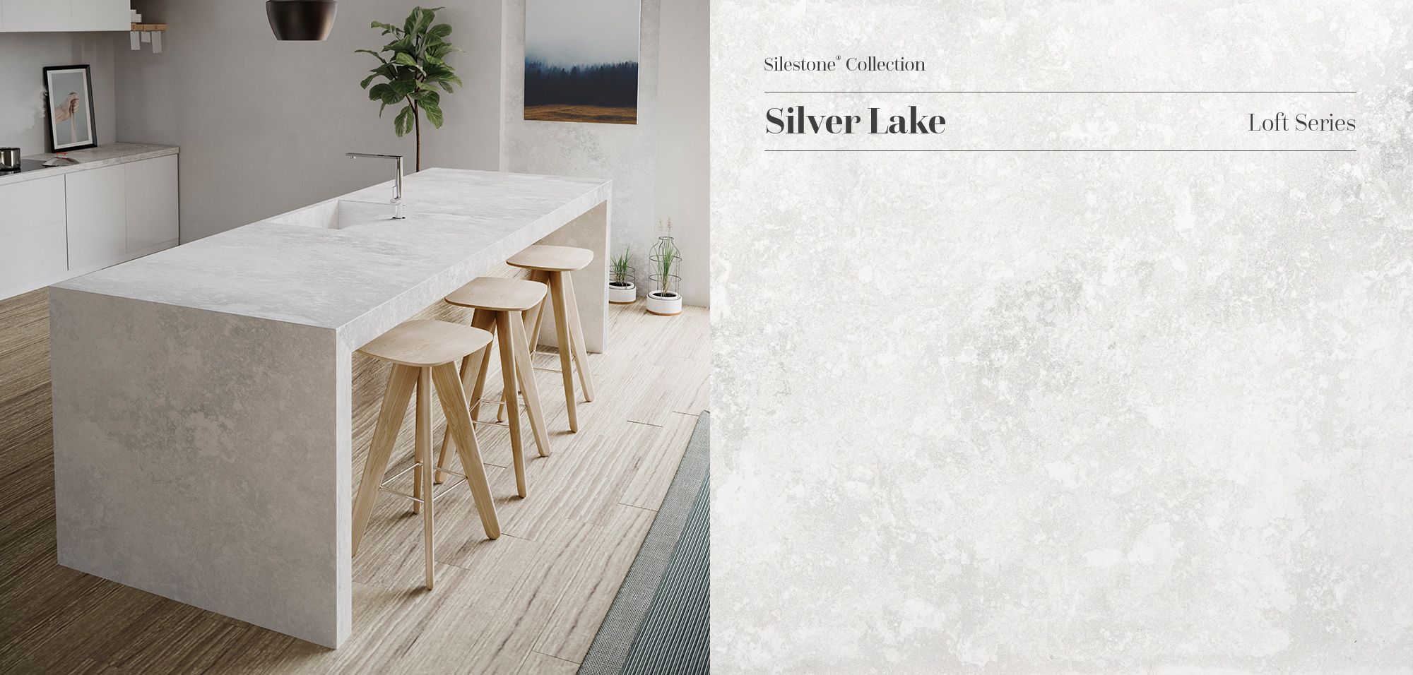 Desert Silver Silestone Quartz Countertops, Cost, Reviews