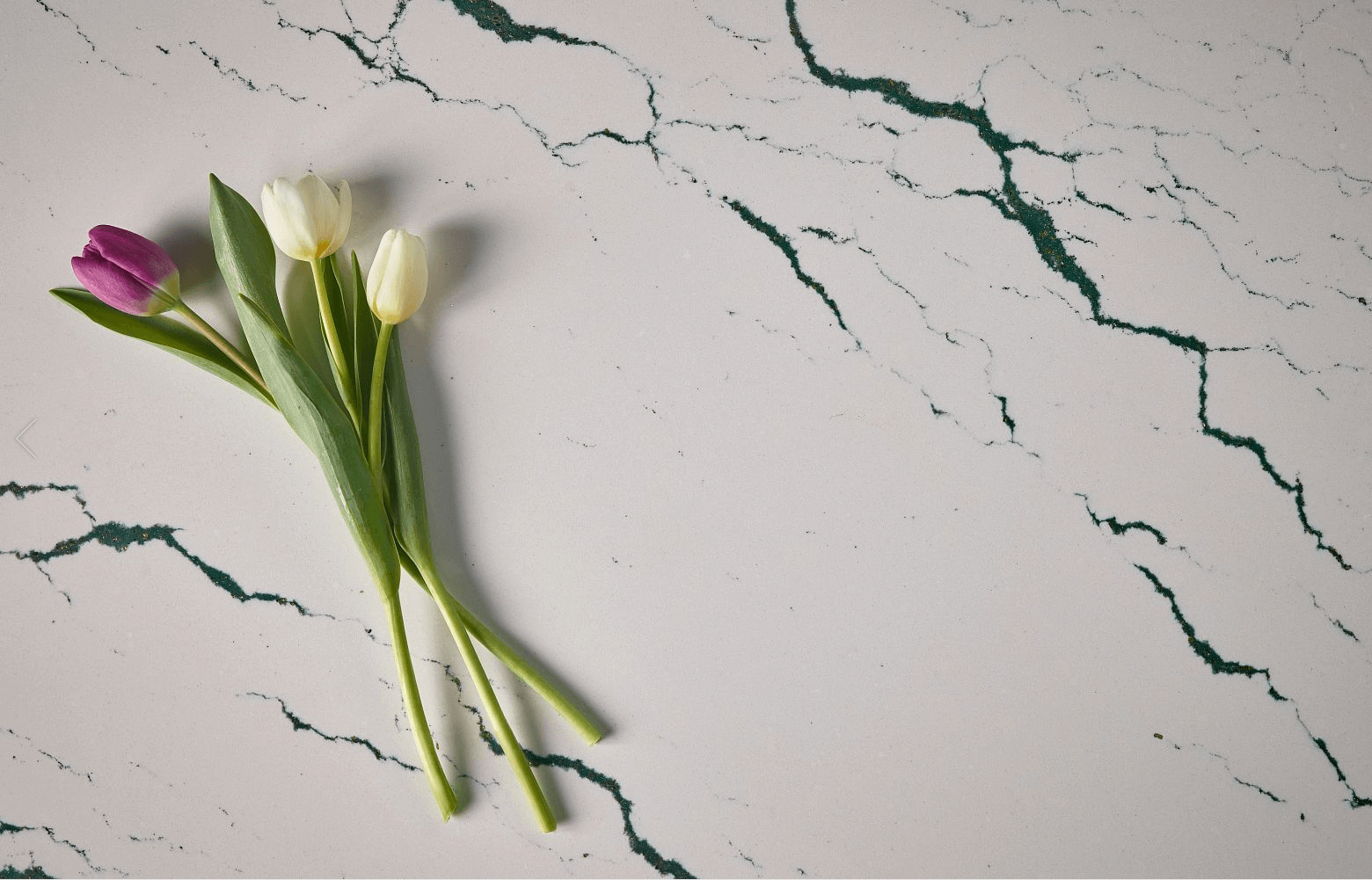 Ivybridge Cambria Quartz Countertops, Cost, Reviews