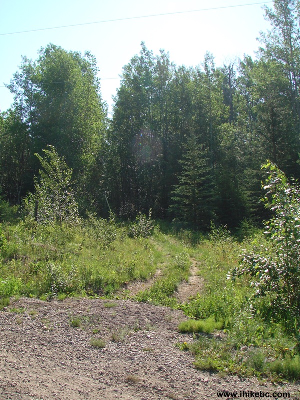 Butler Ridge Hiking Trail (by Hudson's Hope BC)