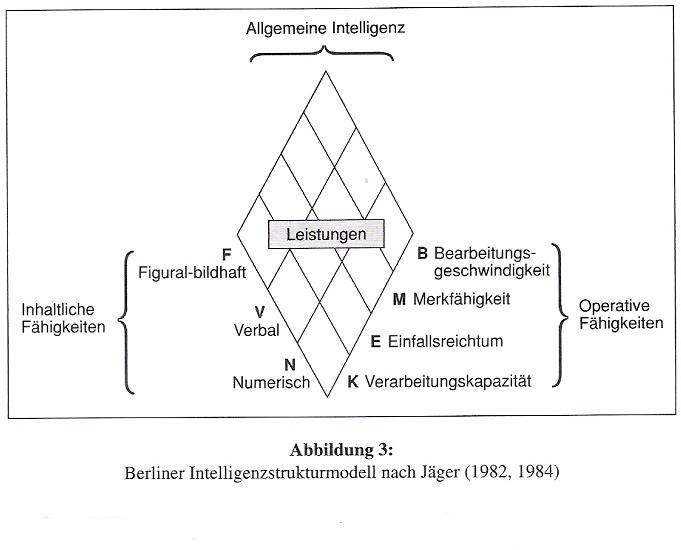 Was ist Intelligenz? IHVO