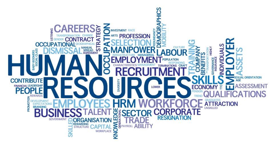 How Do I Start a Career in Human Resource IIMT Group of Colleges