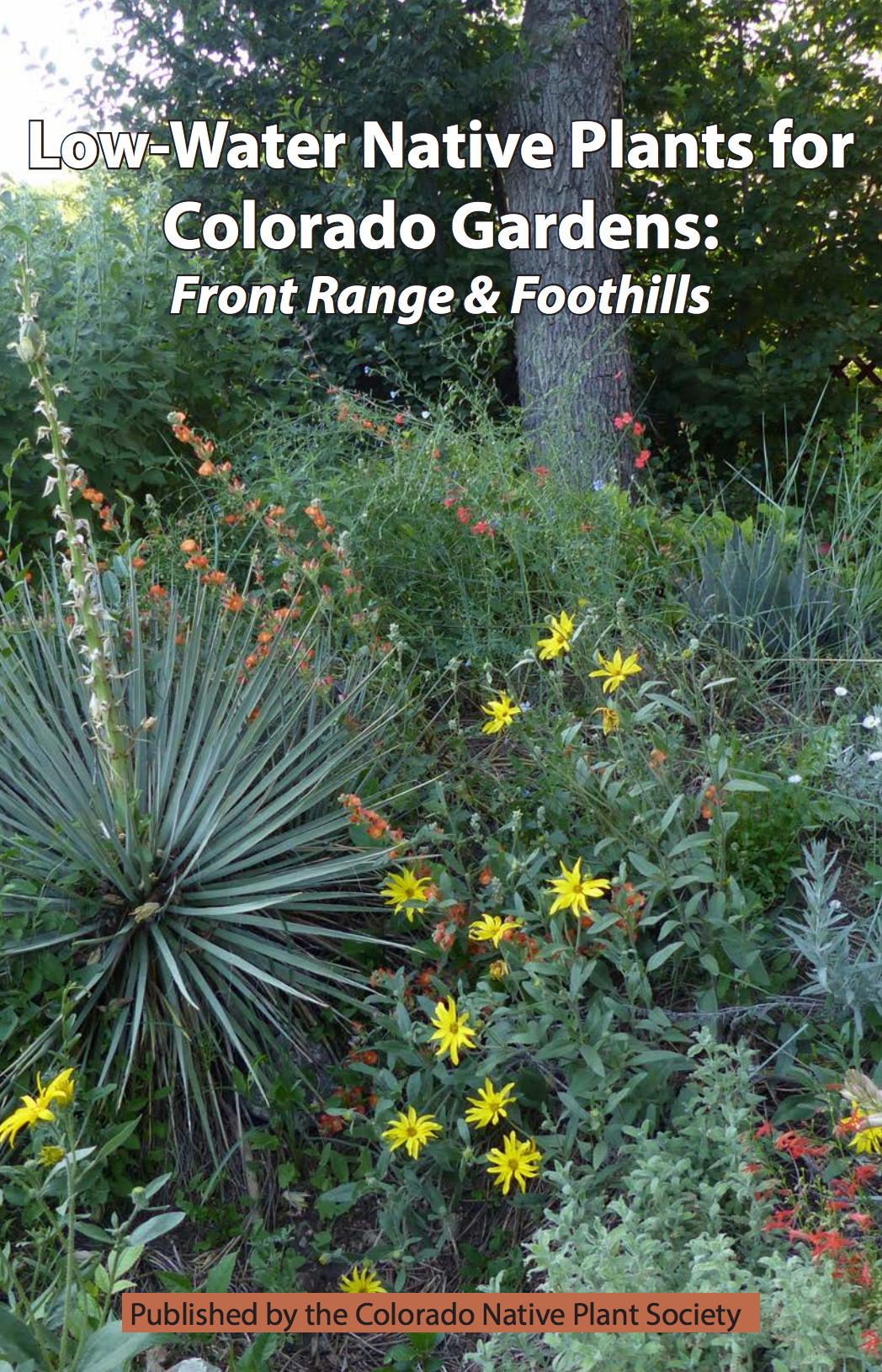 Native Plants for Birds & Wildlife Search by Zip Code