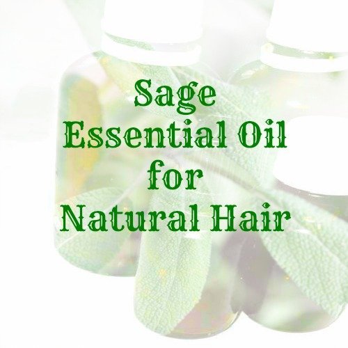 Benefits Of Sage Essential Oil For Natural Hair 3 Sage Diy