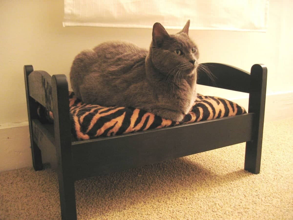 ikea pet bed IKEA Hackers