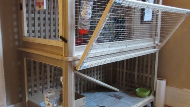 The Bunny Palace (indoor rabbit cage) IKEA Hackers IKEA Hackers