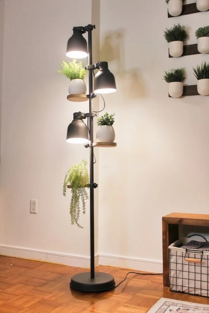 Plant parents will love this 3 tier plant stand with light LaptrinhX