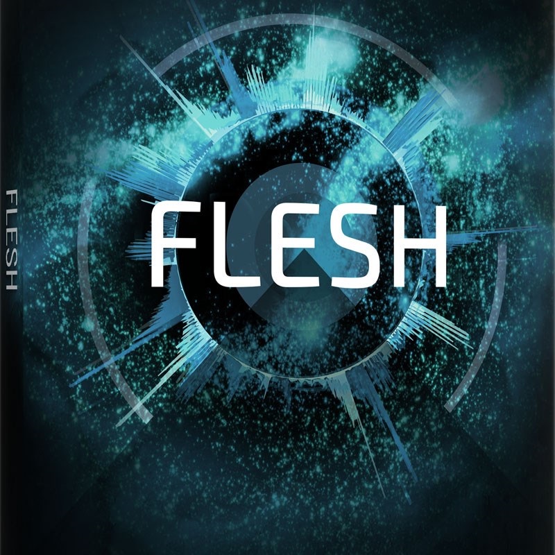 Native Instruments 【Summer of Sound 2025】Flesh (オンライン納品)(2時間以内に納品) ｜イケベ