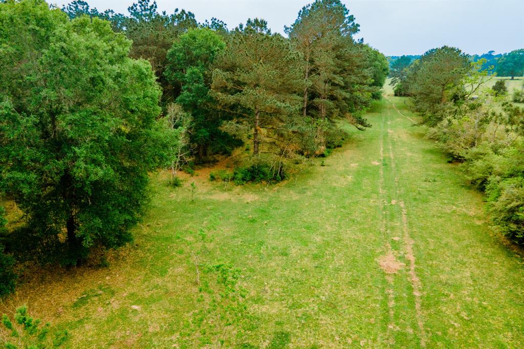 TBD DECKER PRAIRIE ROSEHILL ROAD Waller County Texas Real Estate