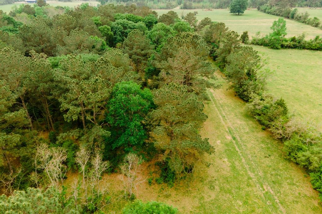 TBD DECKER PRAIRIE ROSEHILL ROAD Waller County Texas Real Estate