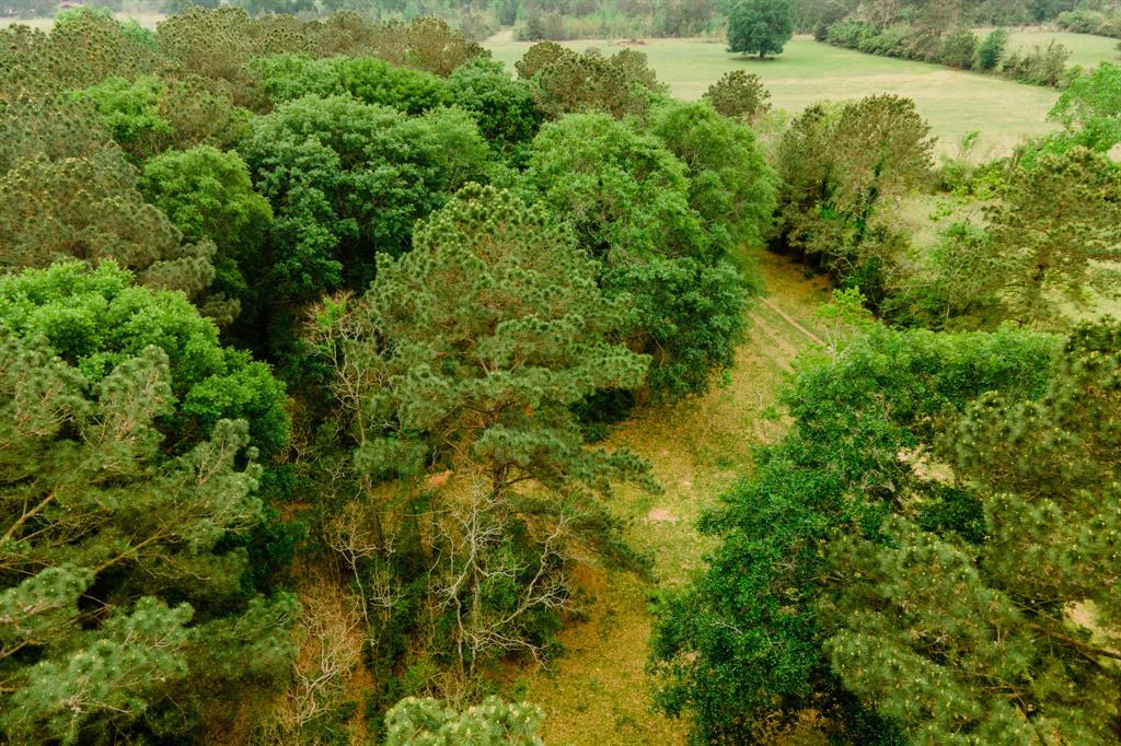 TBD DECKER PRAIRIE ROSEHILL ROAD Waller County Texas Real Estate