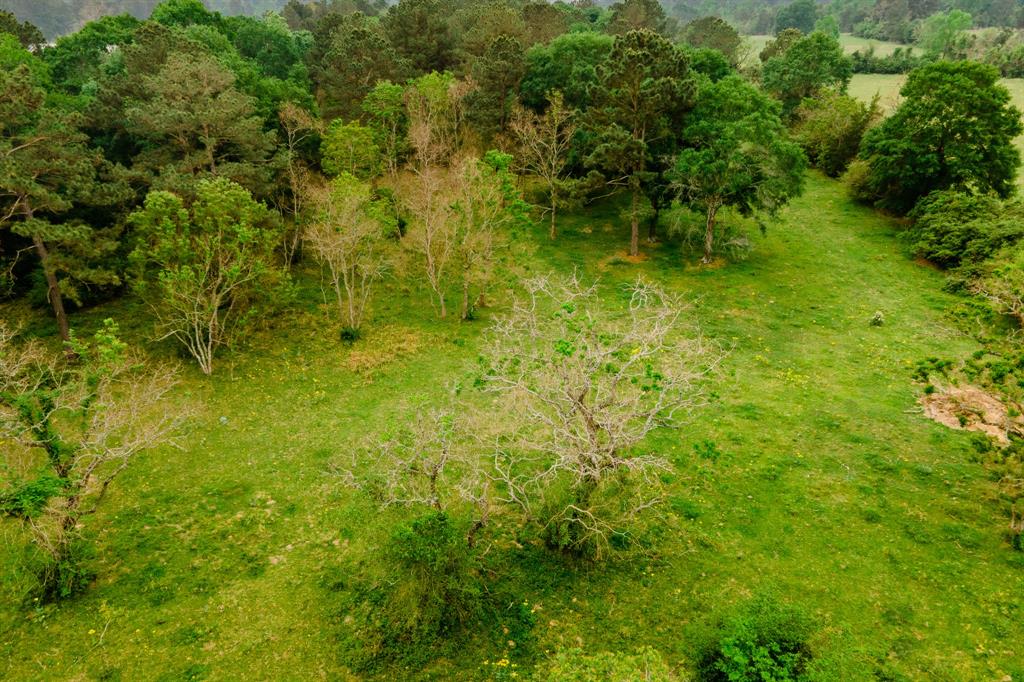 TBD DECKER PRAIRIE ROSEHILL ROAD Waller County Texas Real Estate