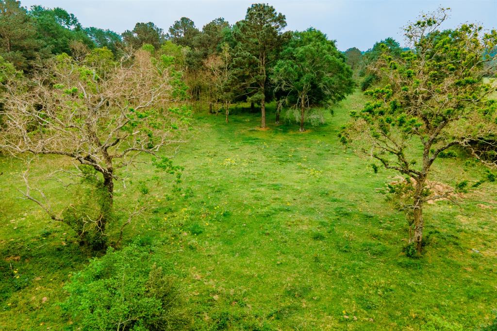 TBD DECKER PRAIRIE ROSEHILL ROAD Waller County Texas Real Estate