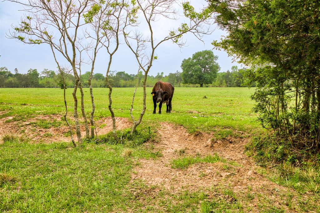 TBD DECKER PRAIRIE ROSEHILL ROAD Waller County Texas Real Estate