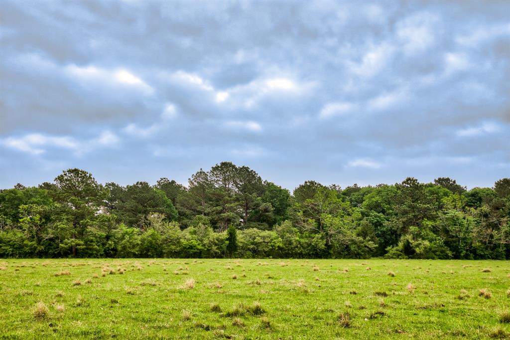 TBD DECKER PRAIRIE ROSEHILL ROAD Waller County Texas Real Estate