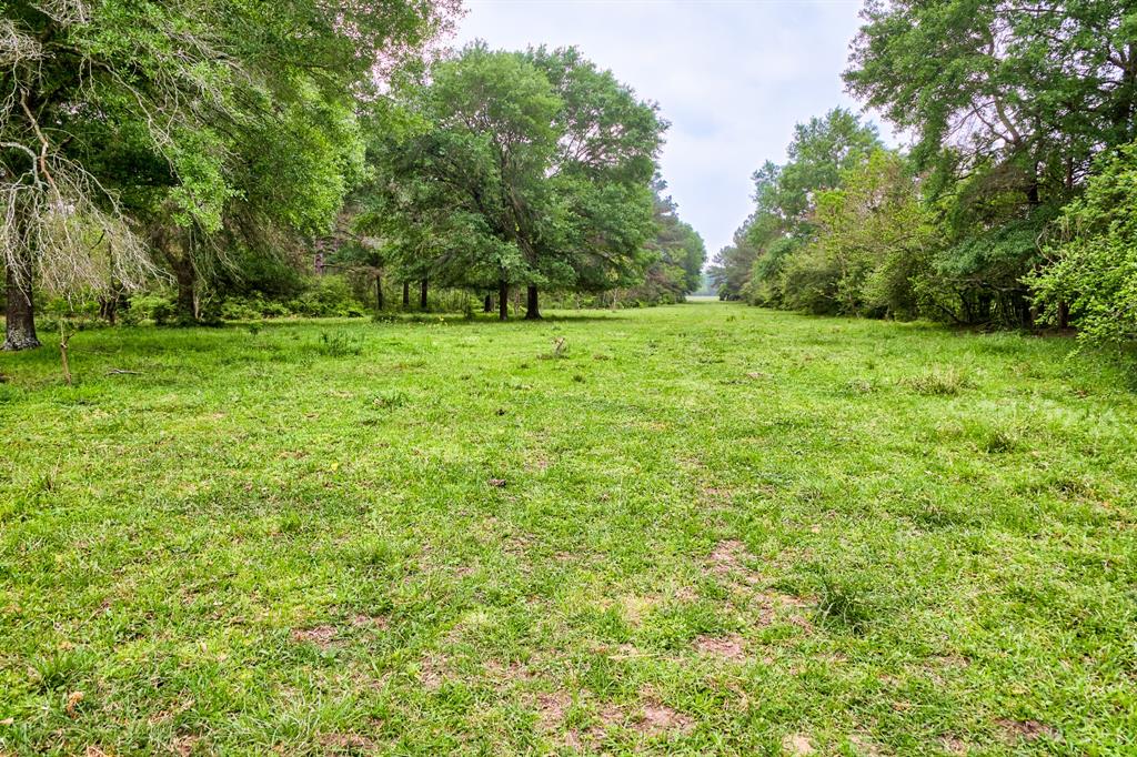 TBD DECKER PRAIRIE ROSEHILL ROAD Waller County Texas Real Estate
