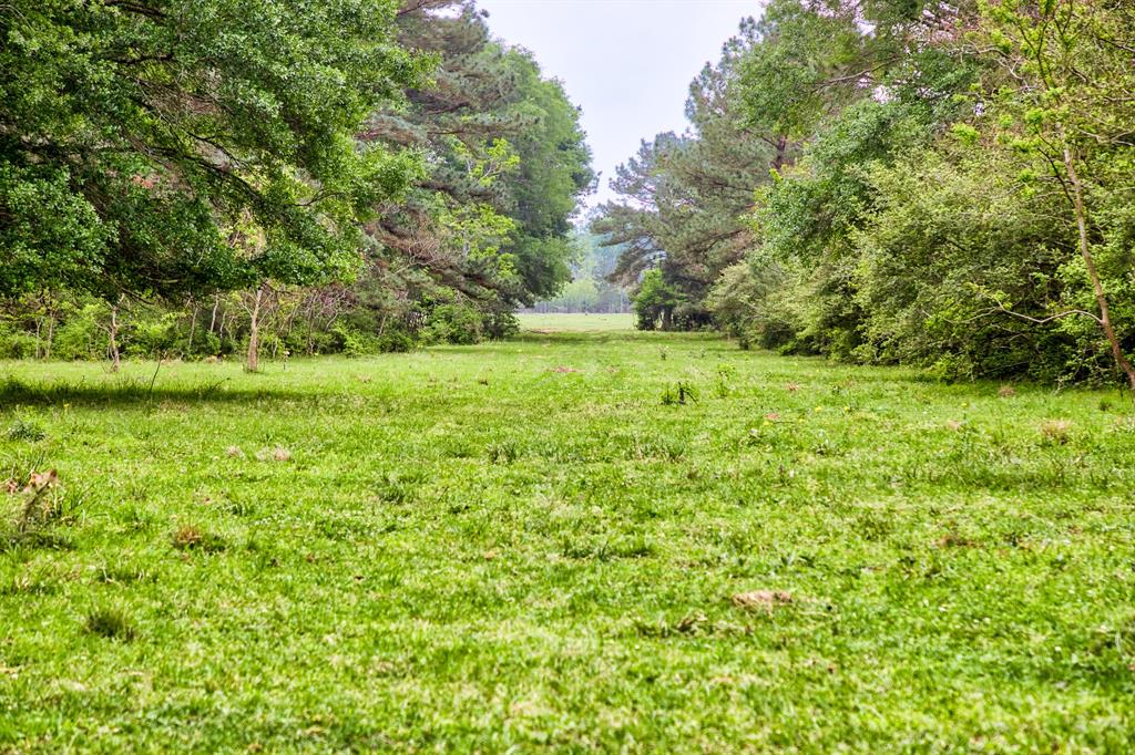 TBD DECKER PRAIRIE ROSEHILL ROAD Waller County Texas Real Estate