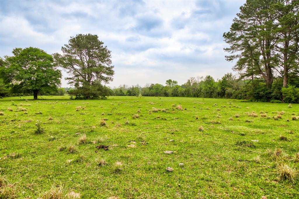 TBD DECKER PRAIRIE ROSEHILL ROAD Waller County Texas Real Estate