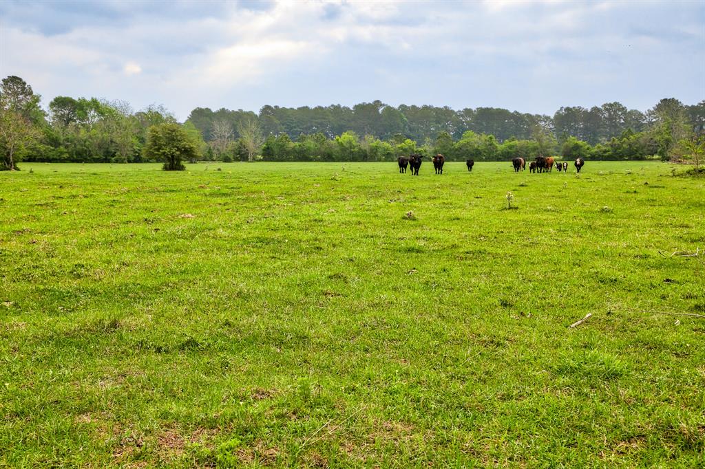 TBD DECKER PRAIRIE ROSEHILL ROAD Waller County Texas Real Estate