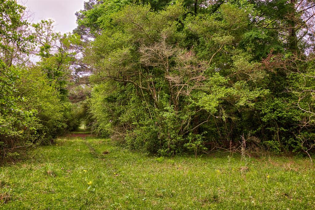 TBD DECKER PRAIRIE ROSEHILL ROAD Waller County Texas Real Estate