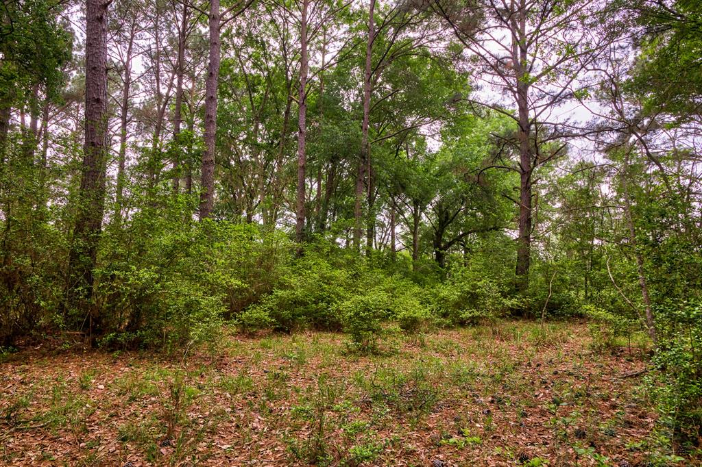 TBD DECKER PRAIRIE ROSEHILL ROAD Waller County Texas Real Estate