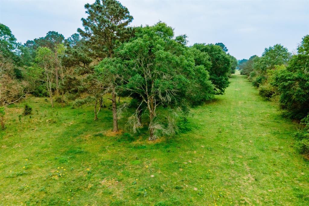 TBD DECKER PRAIRIE ROSEHILL ROAD Waller County Texas Real Estate