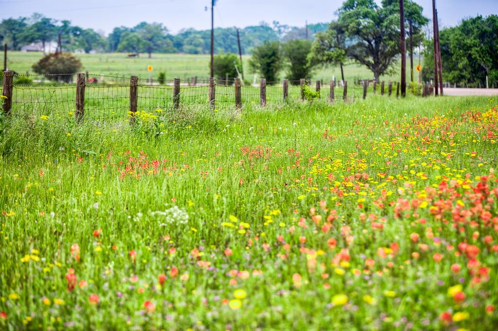 FM 1736 Road Waller County Texas Real Estate, Ranches, Farms, Land