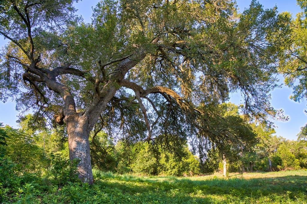 Round Top Retreat Waller County Texas Real Estate, Ranches, Farms, Land, Equestrian Estates