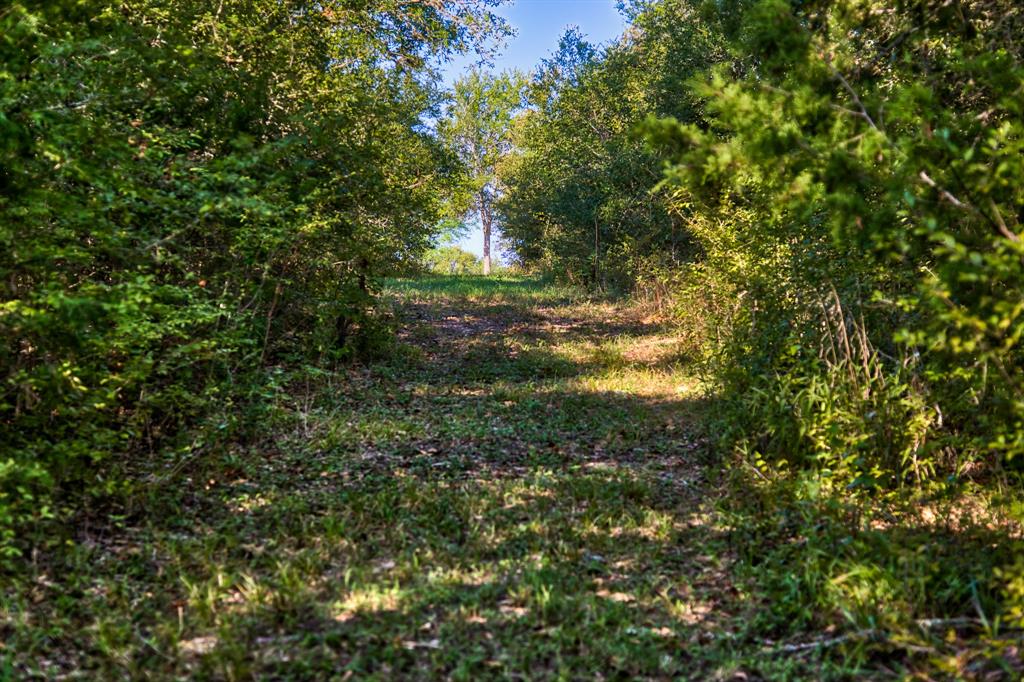 Round Top Retreat Waller County Texas Real Estate, Ranches, Farms, Land, Equestrian Estates