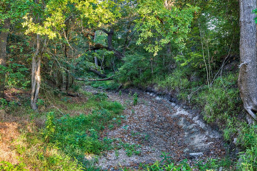 Round Top Retreat Waller County Texas Real Estate, Ranches, Farms, Land, Equestrian Estates