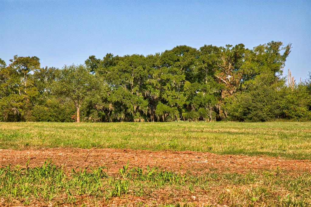 Round Top Retreat Waller County Texas Real Estate, Ranches, Farms, Land, Equestrian Estates