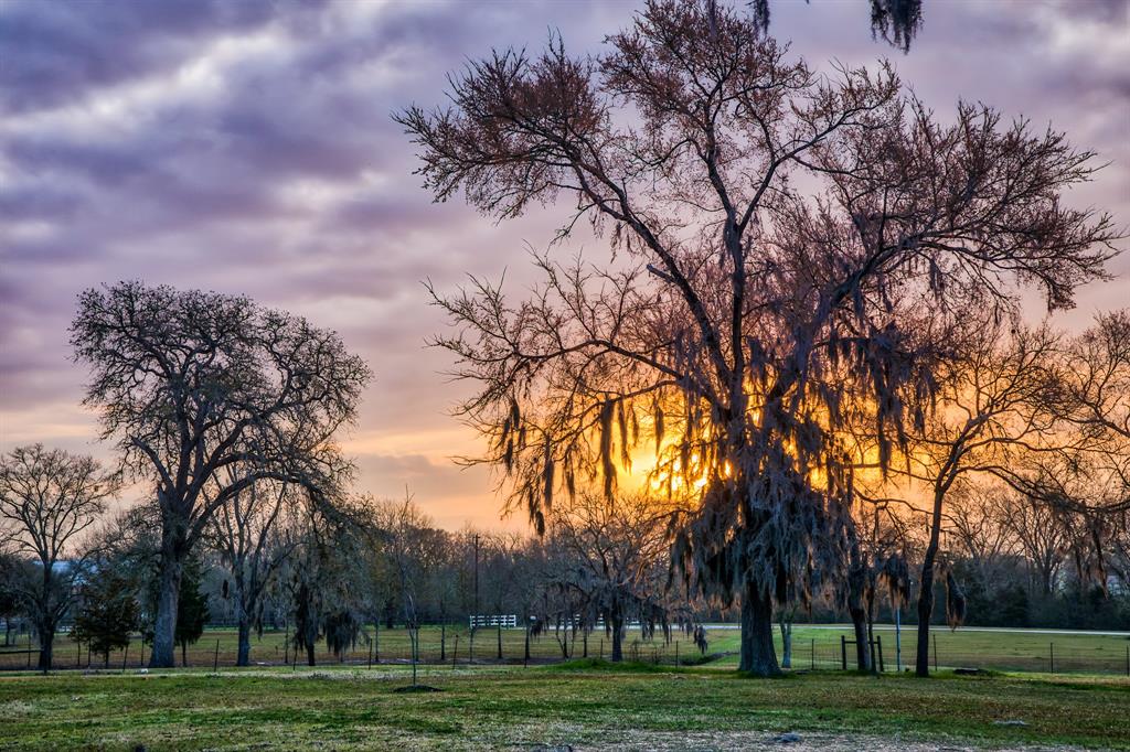 Plantation Lake Country Estate Waller County Texas Real Estate