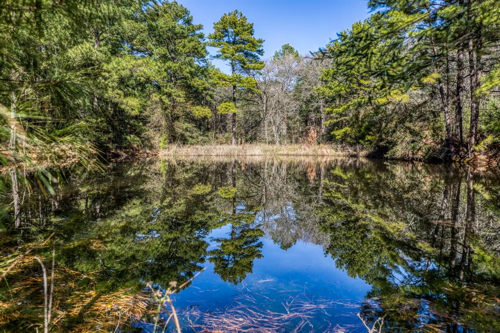 157 Acres on FM 362 SOLD Waller County Texas Real Estate, Ranches