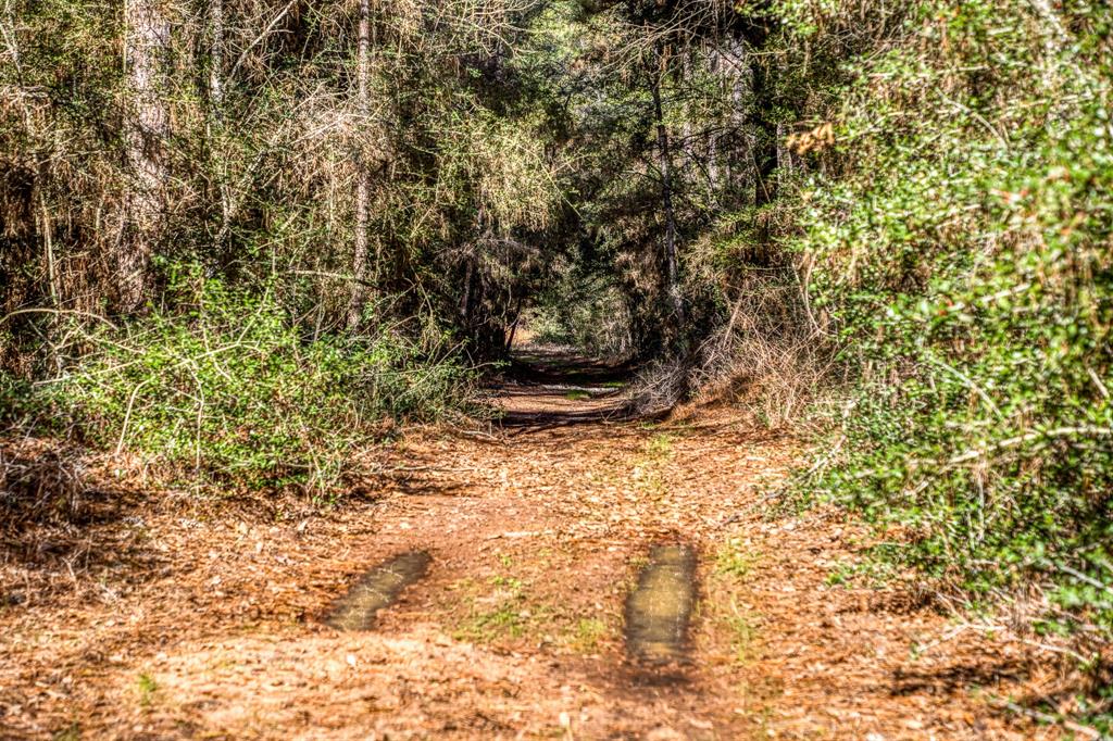 157 Acres on FM 362 SOLD Waller County Texas Real Estate, Ranches