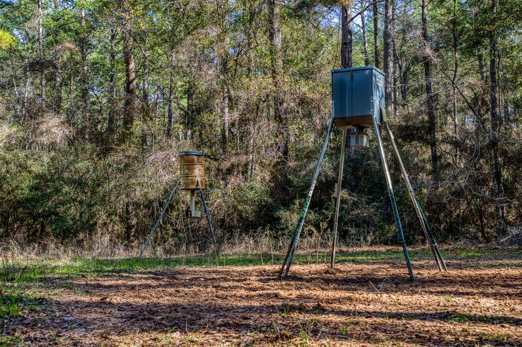 157 Acres on FM 362 SOLD Waller County Texas Real Estate, Ranches