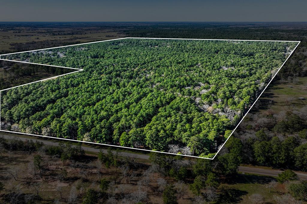 157 Acres on FM 362 SOLD Waller County Texas Real Estate, Ranches