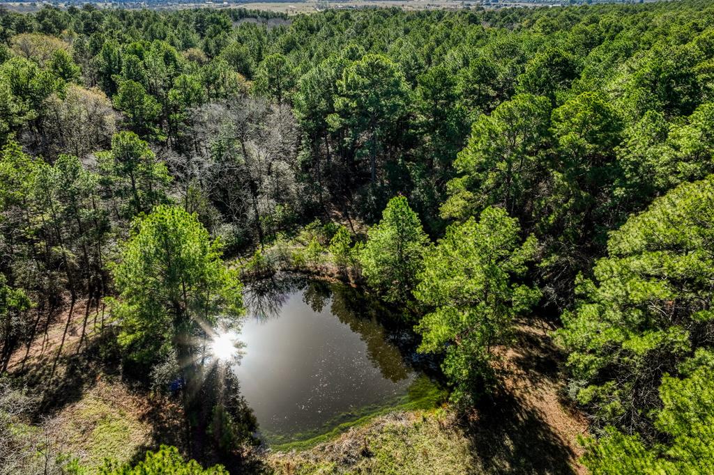 157 Acres on FM 362 SOLD Waller County Texas Real Estate, Ranches