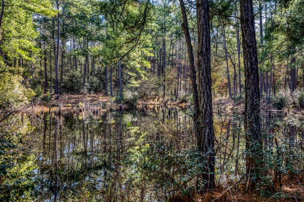 157 Acres on FM 362 SOLD Waller County Texas Real Estate, Ranches