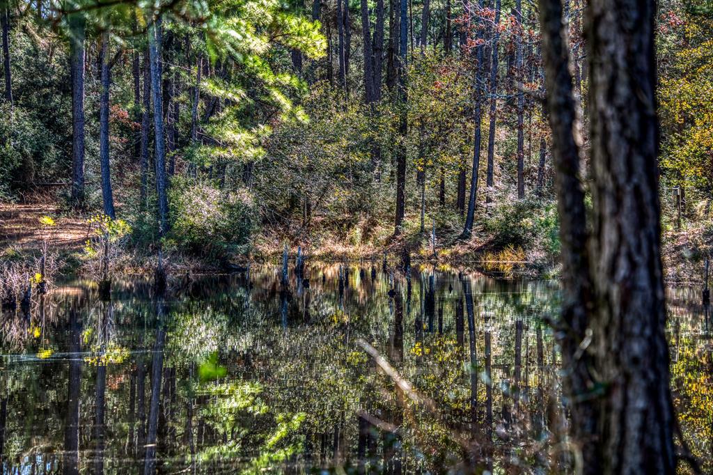 157 Acres on FM 362 SOLD Waller County Texas Real Estate, Ranches