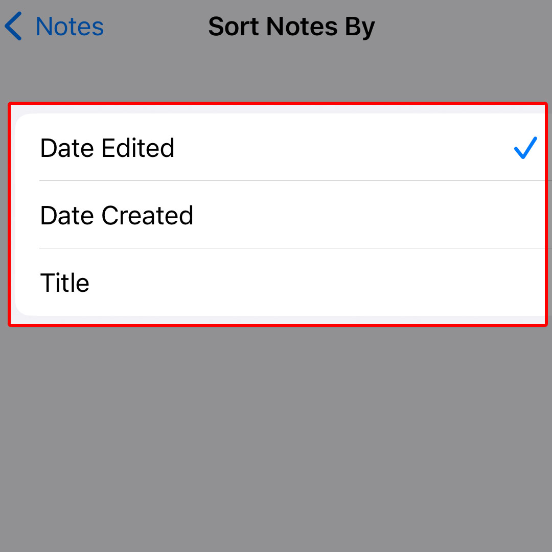 How to Sort Folders in Notes on iPhone 14 iKream
