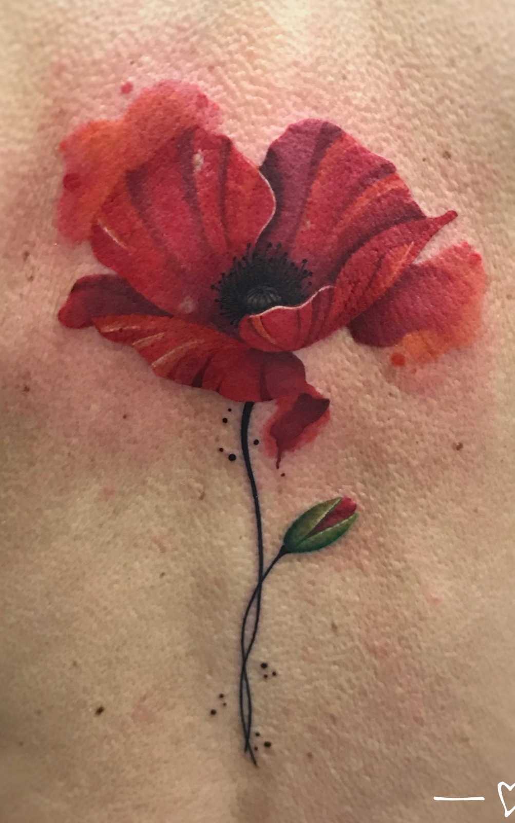 Il Camaleonte Tatoo - Tatuaggi Pro E Piercing A Torino 1600_x_1003_jpg