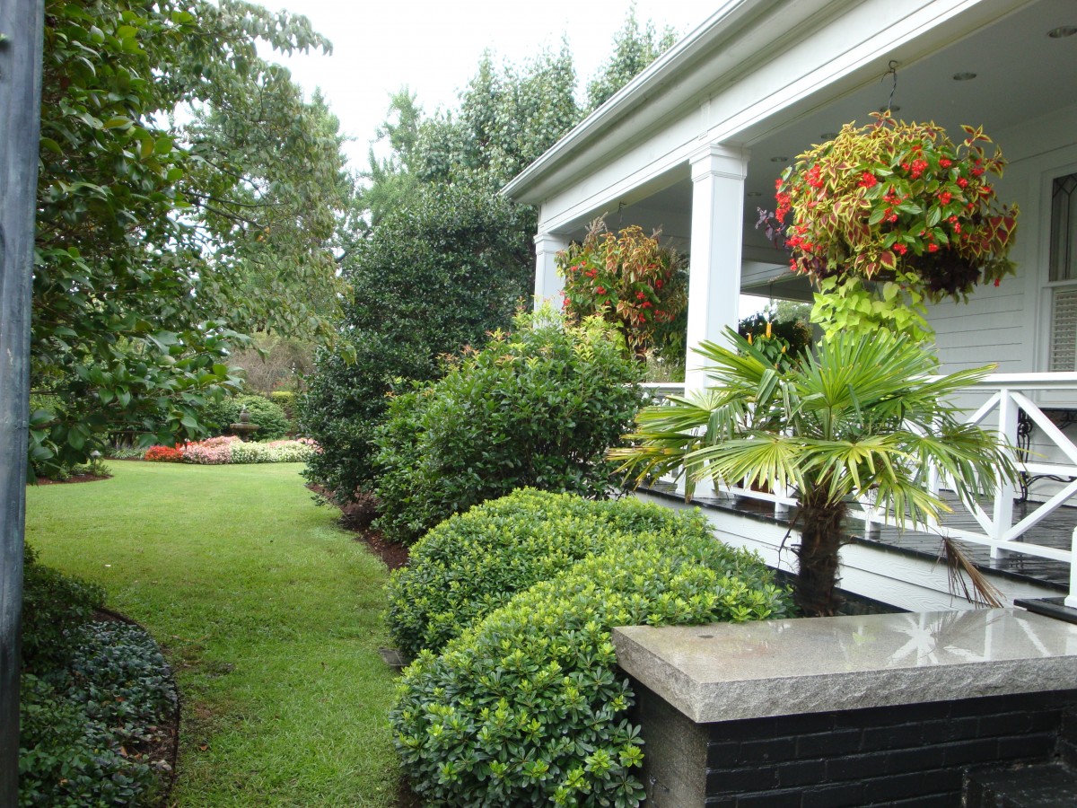 Landscaping and Lawn Care Services In Florence SC 843